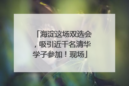 海淀这场双选会，吸引近千名清华学子参加！现场