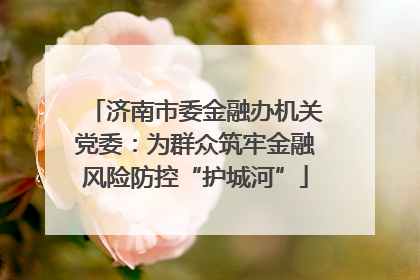 济南市委金融办机关党委：为群众筑牢金融风险防控“护城河”