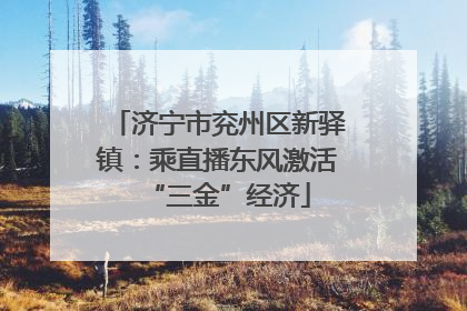 济宁市兖州区新驿镇：乘直播东风激活“三金”经济