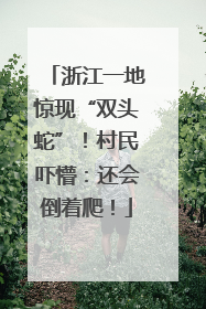 浙江一地惊现“双头蛇”！村民吓懵：还会倒着爬！