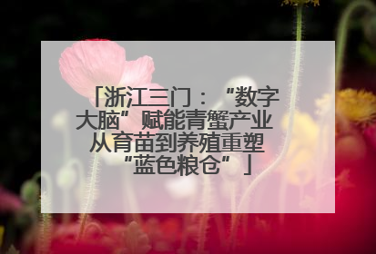浙江三门：“数字大脑”赋能青蟹产业 从育苗到养殖重塑“蓝色粮仓”