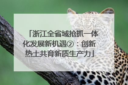 浙江全省域抢抓一体化发展新机遇②：创新热土共育新质生产力