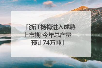 浙江杨梅进入成熟上市期 今年总产量预计74万吨
