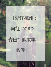 浙江杭州：网红“CBD麦田”迎来丰收季