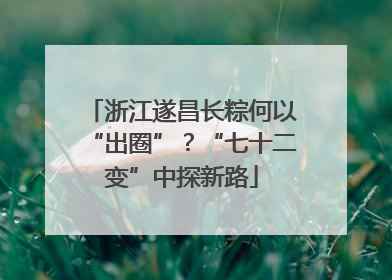 浙江遂昌长粽何以“出圈”？“七十二变”中探新路