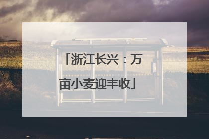 浙江长兴：万亩小麦迎丰收