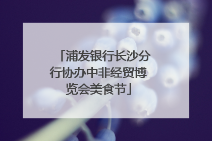浦发银行长沙分行协办中非经贸博览会美食节