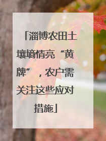 淄博农田土壤墒情亮“黄牌”，农户需关注这些应对措施