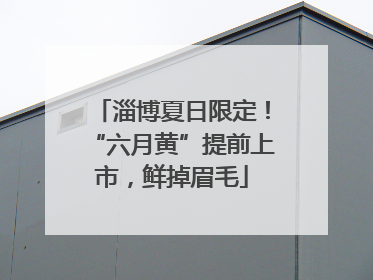 淄博夏日限定！“六月黄”提前上市，鲜掉眉毛