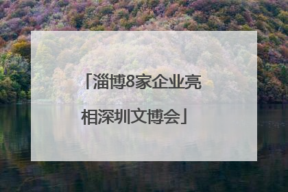 淄博8家企业亮相深圳文博会