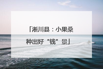 淅川县：小果桑种出好“钱”景