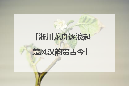淅川龙舟逐浪起 楚风汉韵贯古今