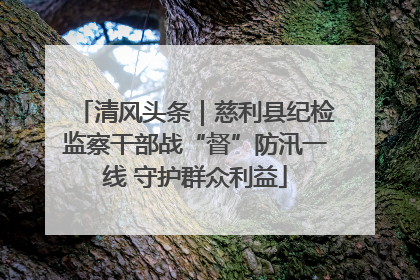 清风头条｜慈利县纪检监察干部战“督”防汛一线 守护群众利益