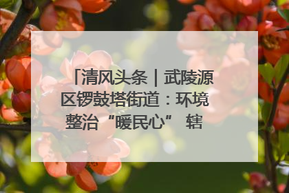 清风头条｜武陵源区锣鼓塔街道：环境整治“暖民心” 辖区面貌“靓”起来