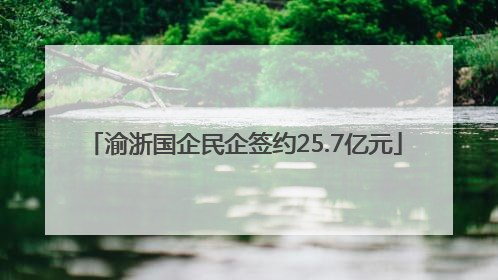 渝浙国企民企签约25.7亿元