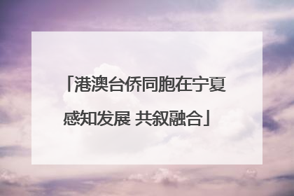 港澳台侨同胞在宁夏感知发展 共叙融合