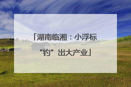 湖南临湘：小浮标“钓”出大产业