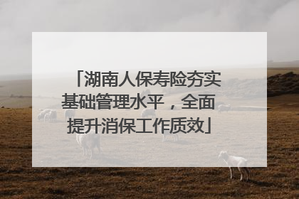 湖南人保寿险夯实基础管理水平，全面提升消保工作质效