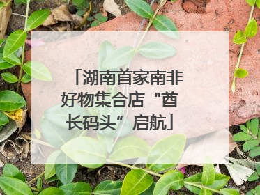 湖南首家南非好物集合店“酋长码头”启航