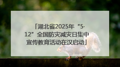 湖北省2025年“5·12”全国防灾减灾日集中宣传教育活动在汉启动