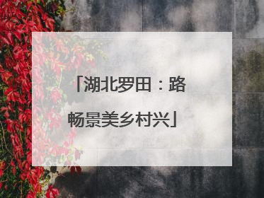 湖北罗田：路畅景美乡村兴