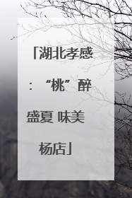 湖北孝感：“桃”醉盛夏 味美杨店