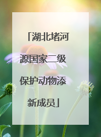 湖北堵河源国家二级保护动物添新成员