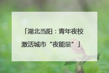 湖北当阳：青年夜校激活城市“夜能量”