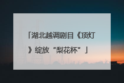湖北越调剧目《顶灯》绽放“梨花杯”