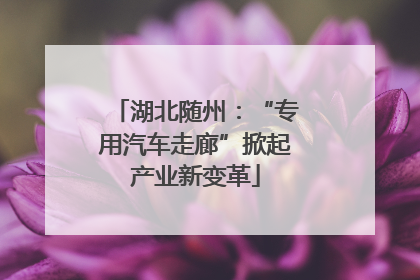 湖北随州：“专用汽车走廊”掀起产业新变革