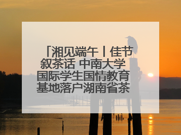 湘见端午丨佳节叙茶话 中南大学国际学生国情教育基地落户湖南省茶叶博物馆