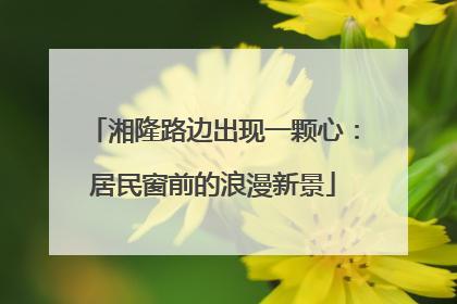 湘隆路边出现一颗心：居民窗前的浪漫新景