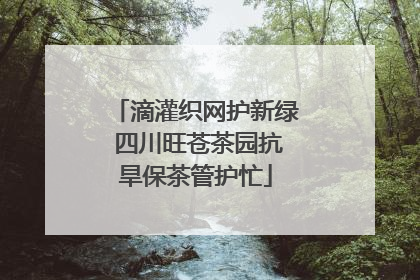 滴灌织网护新绿 四川旺苍茶园抗旱保茶管护忙