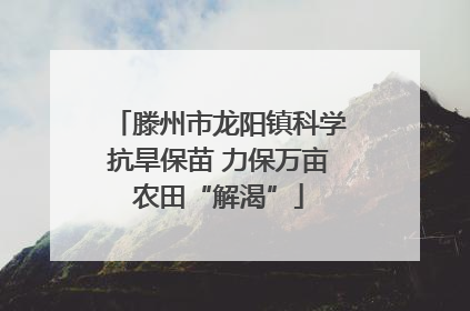 滕州市龙阳镇科学抗旱保苗 力保万亩农田“解渴”