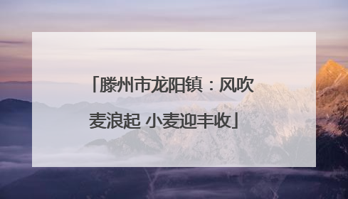 滕州市龙阳镇：风吹麦浪起 小麦迎丰收