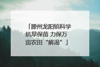 滕州龙阳镇科学抗旱保苗 力保万亩农田“解渴”