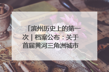 滨州历史上的第一次｜档案公布：关于首届黄河三角洲城市经济博览会暨发展论坛情况的总结报告