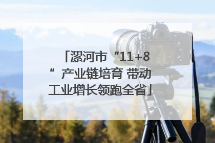 漯河市“11+8”产业链培育 带动工业增长领跑全省
