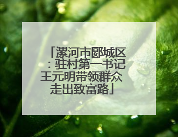 漯河市郾城区：驻村第一书记王元明带领群众走出致富路