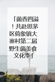 菌香四溢！共赴思茅区倚象镇大寨村第二届野生菌美食文化季