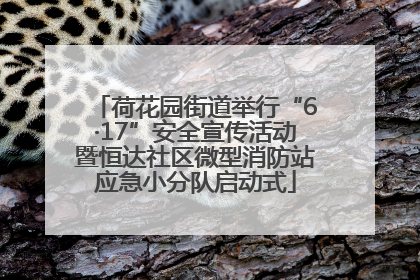 荷花园街道举行“6·17”安全宣传活动暨恒达社区微型消防站应急小分队启动式