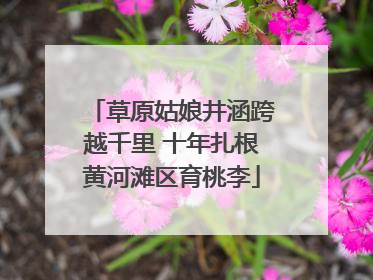 草原姑娘井涵跨越千里 十年扎根黄河滩区育桃李