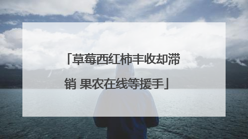 草莓西红柿丰收却滞销 果农在线等援手