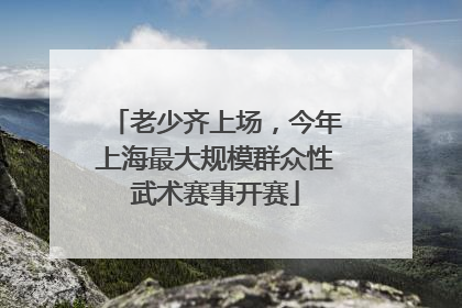 老少齐上场，今年上海最大规模群众性武术赛事开赛