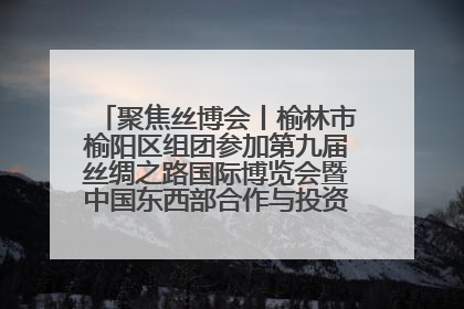 聚焦丝博会丨榆林市榆阳区组团参加第九届丝绸之路国际博览会暨中国东西部合作与投资贸易洽谈会