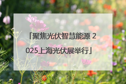 聚焦光伏智慧能源 2025上海光伏展举行