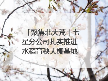 聚焦北大荒｜七星分公司扎实推进水稻育秧大棚基地清理整治工作