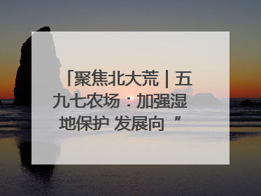 聚焦北大荒｜五九七农场：加强湿地保护 发展向“绿”而行