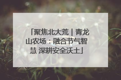 聚焦北大荒｜青龙山农场：融合节气智慧 深耕安全沃土