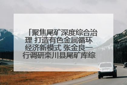 聚焦尾矿深度综合治理 打造有色金属循环经济新模式 张金良一行调研栾川县尾矿库综合治理工作